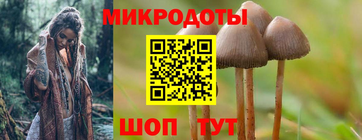 Алексеевка  Галлюциногенные грибы мухоморы  Вход с VPN 